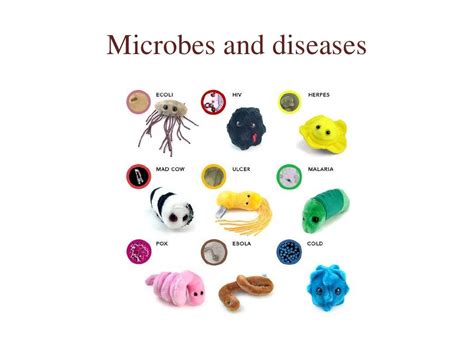 1 introduction to microbiology