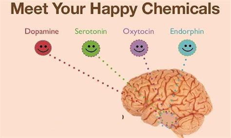 Endorphin hormone - psadoeurope