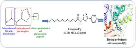 Novel fatty acid‐thiadiazole derivatives as potential antimycobacterial ...