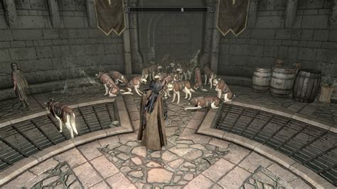 This Skyrim Glitch Is Every Dog Lover's Dream