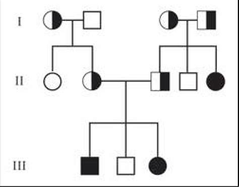 Autosomal Recessive Inheritance Pedigree