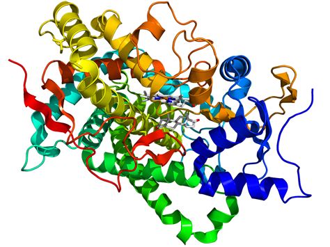 Category:Protein structure - wikidoc