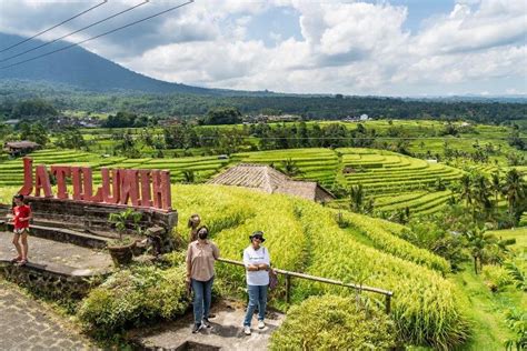 DESA WISATA JATILUWIH TABANAN BALI REPRESENTASI WISATA BERKELANJUTAN - MAJALAH INDONESIA