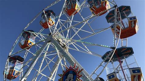 A fun weekend awaits at the Brown County Fair | WLUK