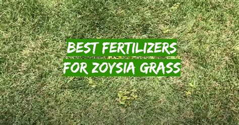 Top 5 Best Fertilizers for Zoysia Grass [November 2023 Review] - Grass Killer