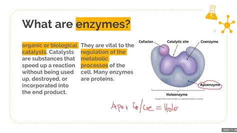 Enzyme, 51% OFF | www.micoope.com.gt