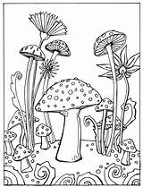 Printable Mushroom Coloring Pages sketch template