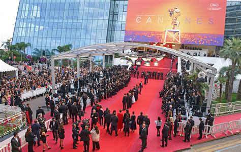 2 Eurowhere Is Cannes Film Festival 2024 - Shell Jacklin