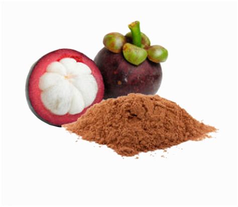 Organic Mangosteen Powder - Premium Fruit Powder in Bulk from Ceylon | Ekowarehouse