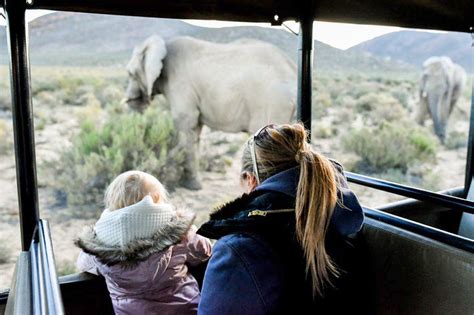 African Family Safaris With Kids: Safari Family Vacations