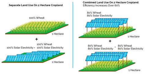 Sustainability | Free Full-Text | Solar Photovoltaic Architecture and Agronomic Management in ...