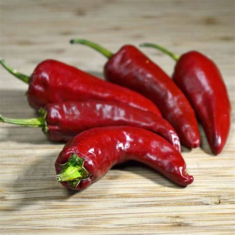 Espelette/Basque Heirloom Pepper Seeds | Terroir Seeds