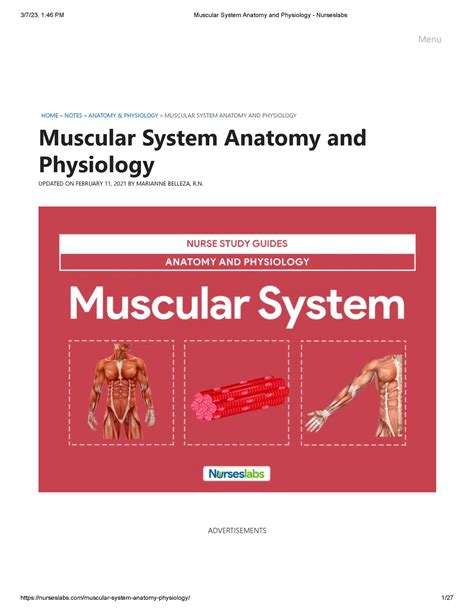 Muscular System Anatomy And Physiology Nurseslabs Ske - vrogue.co
