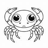 Crab With Big Eyes And Cute Cartoon Coloring Pages Vector Basic Simple  sketch template