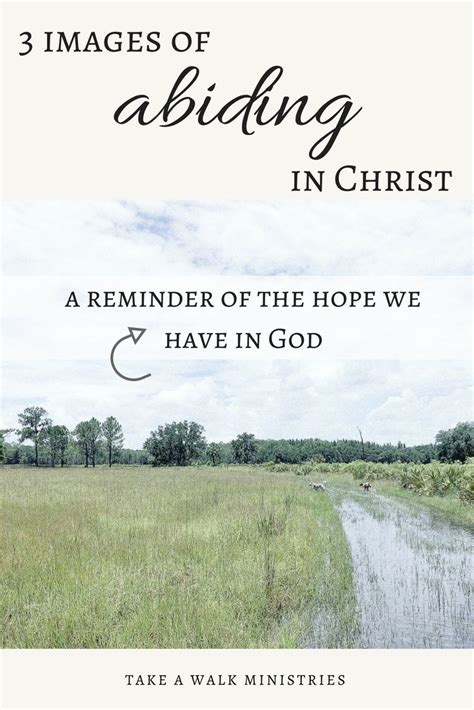 3 Images of Abiding in Christ | Abide in christ, Hope in god, Christian ...