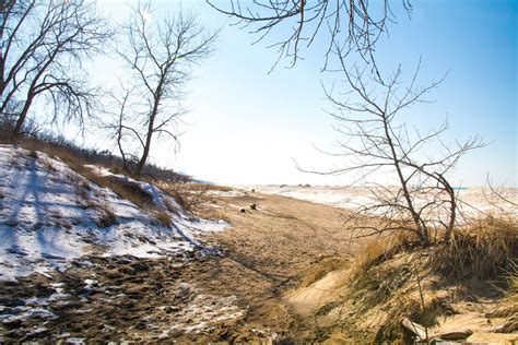 Indiana Dunes National Lakeshore in late winter | Indiana dunes national lakeshore, Indiana ...