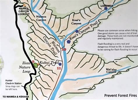 Waimea Canyon State Park Trails Map - DownTheTrail.com