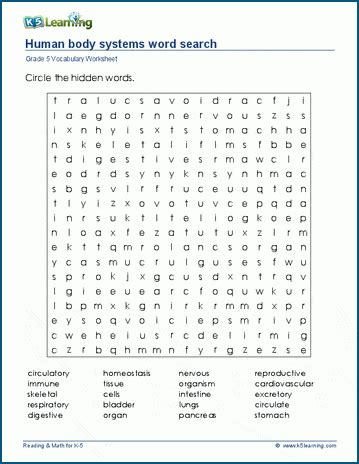 Human body systems word search | K5 Learning