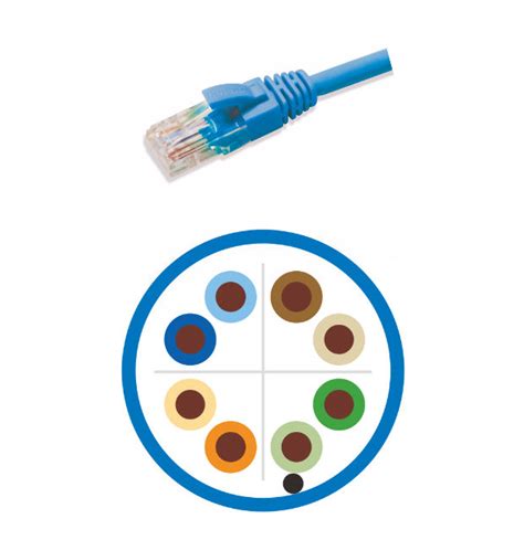 Category 6 U/UTP Patch Cord - Syntax Network Solution Private Limited