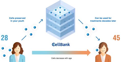 Cell Storage｜Cellbank