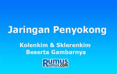 Jaringan Penyokong - Kolenkim & Sklerenkim Beserta Gambarnya