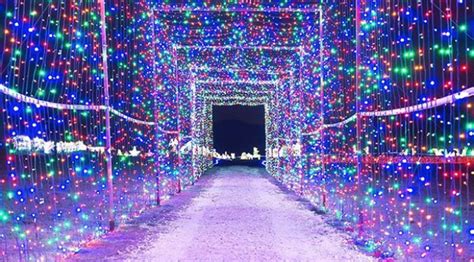 The Best Christmas Light Displays Within Driving Distance of San ...