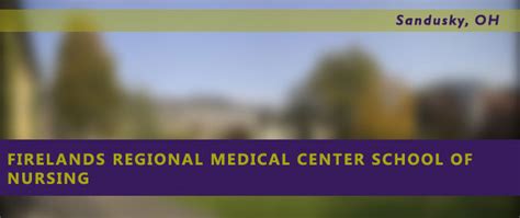 Firelands Regional Medical Center School of Nursing - Nursing Guide