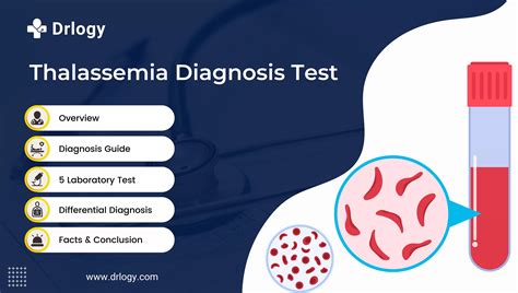 5 Important Thalassemia Diagnosis Test for Accurate Solution - Drlogy