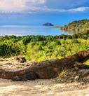 3 Day 2 Night Komodo Tour: Exploring the Home of the Dragons