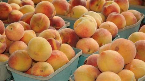 Freestone peaches are cooks’ top picks | The Kansas City Star