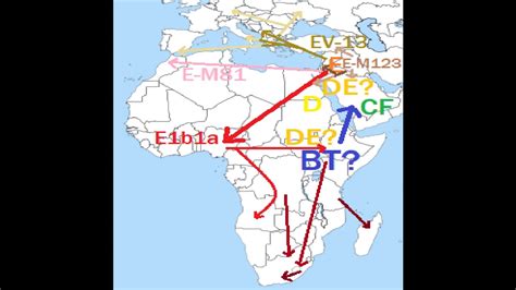 Y dna DE; E1b1a, E1b1b and D migrations - YouTube