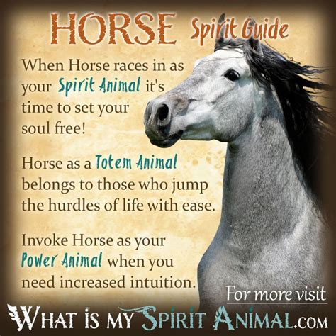 Horse Symbolism & Meaning | Spirit, Totem, & Power Animal