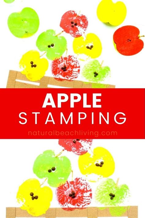 How to Make The Best Apple Stamping Craft with Kids - Natural Beach Living