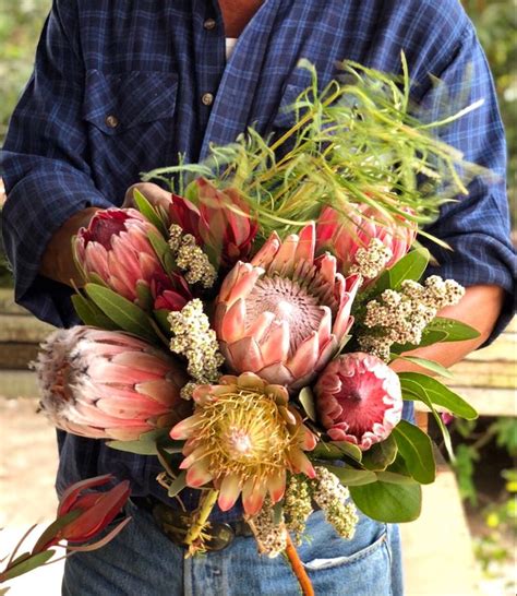 Mixed Protea Bouquet | Protea bouquet, Harvest decorations, Flower garden