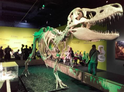 Review Dinosaur Babies, National Museum Cardiff by Eloise Stingemore - Get The Chance