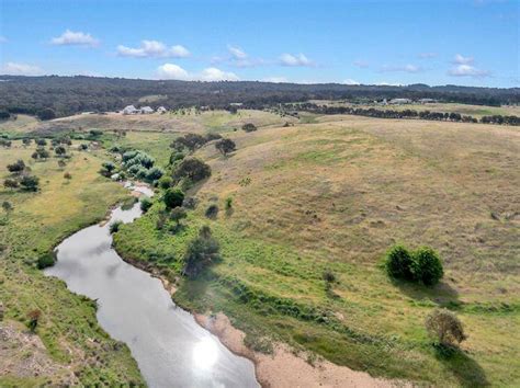 About 50 kangaroos shot and dumped in Yass River | Yass Tribune | Yass, NSW