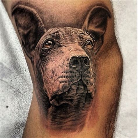 Peruvian Hairless Dog Tattoo | Mejores tatuajes para hombres, Tatuajes ...