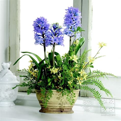 DECORATION: HYACİNTH ARRANGEMENT