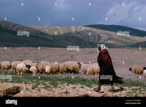 ISRAEL Agriculture Stock Photo - Alamy