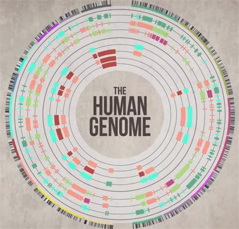 Welcome to Walesumbo Global : Thousand genome