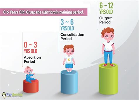 3 Stages: Golden Period of Children’s Brain Development – PenGenius ...