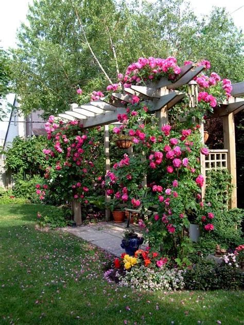 pergola with trailing roses | Garden | Pinterest | Gardens, Side yards ...