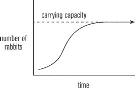 Carrying Capacity - Biology | Socratic