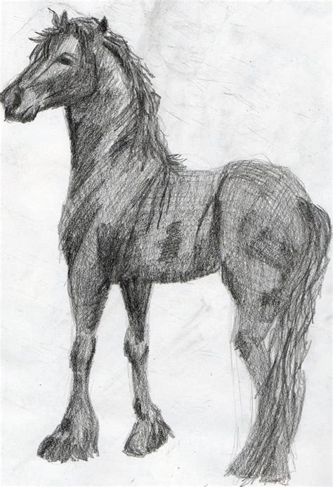 Horse Drawings