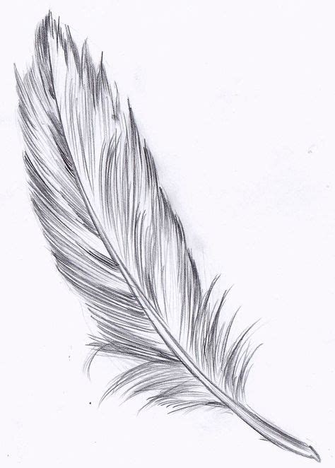 feather drawing - Hľadať Googlom | Feather drawing, Feather tattoo ...