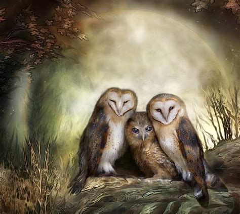 Owl moon, Owl, Owl art