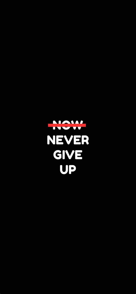 Never Give Up Quotes Wallpapers - Top Free Never Give Up Quotes Backgrounds - WallpaperAccess