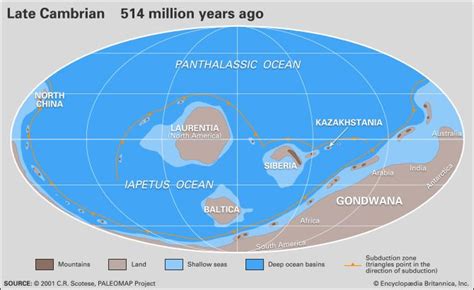 Cambrian Period | Definition, Plants, & Animals | Britannica