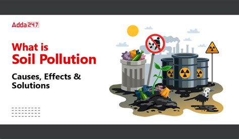 What is Soil Pollution - Causes, effects and Solutions