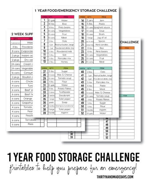 1 Year Food Storage Challenge - Thirty Handmade Days